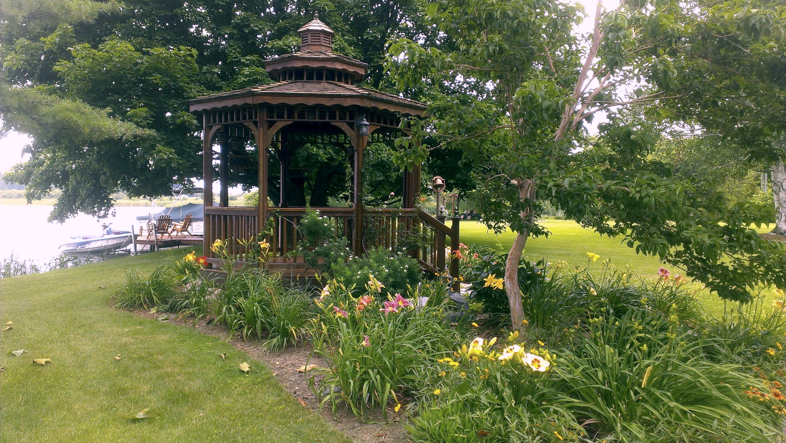 Daylily start display around the Cedar Gazebo